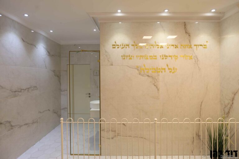 צילום: דוד כהן