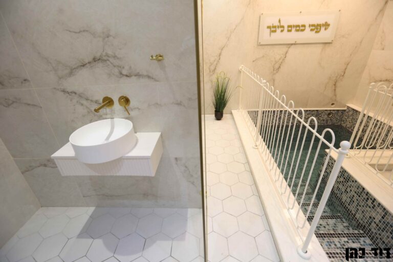 צילום: דוד כהן