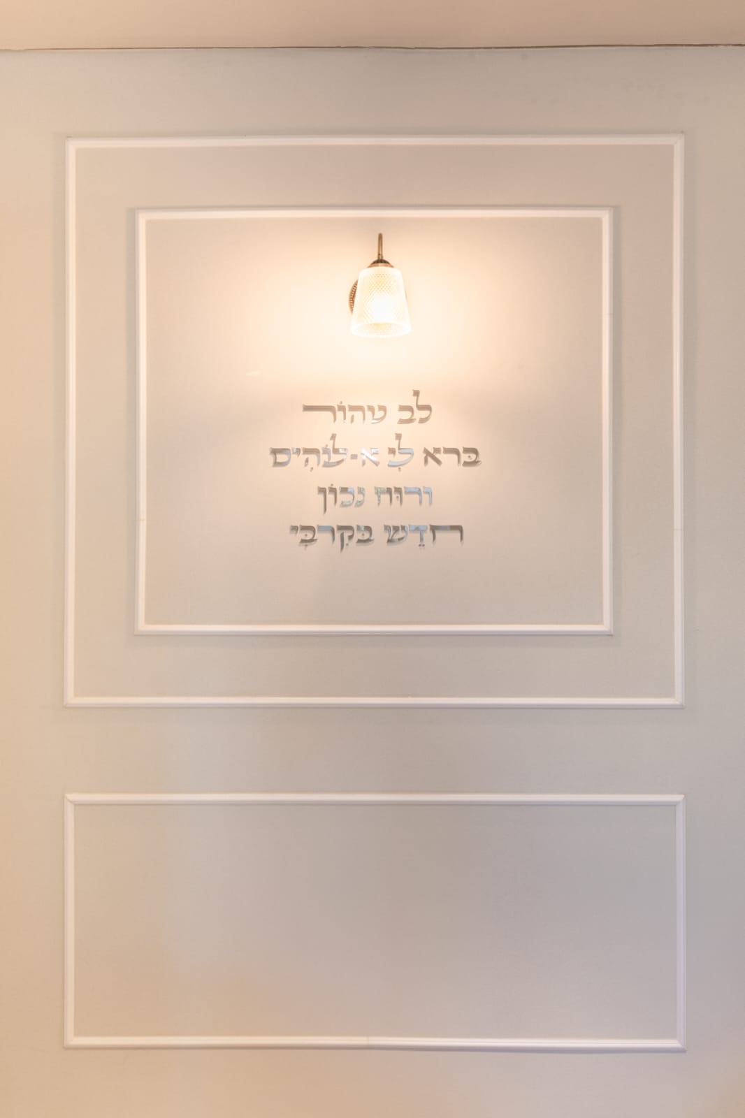 תלם אחרי (11)